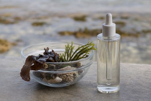 Focus sur les actifs marins dans les soins anti-âge : promesses et limites